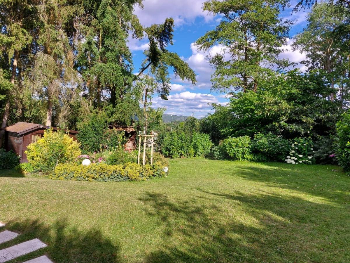 Appartement Schoene Maid *